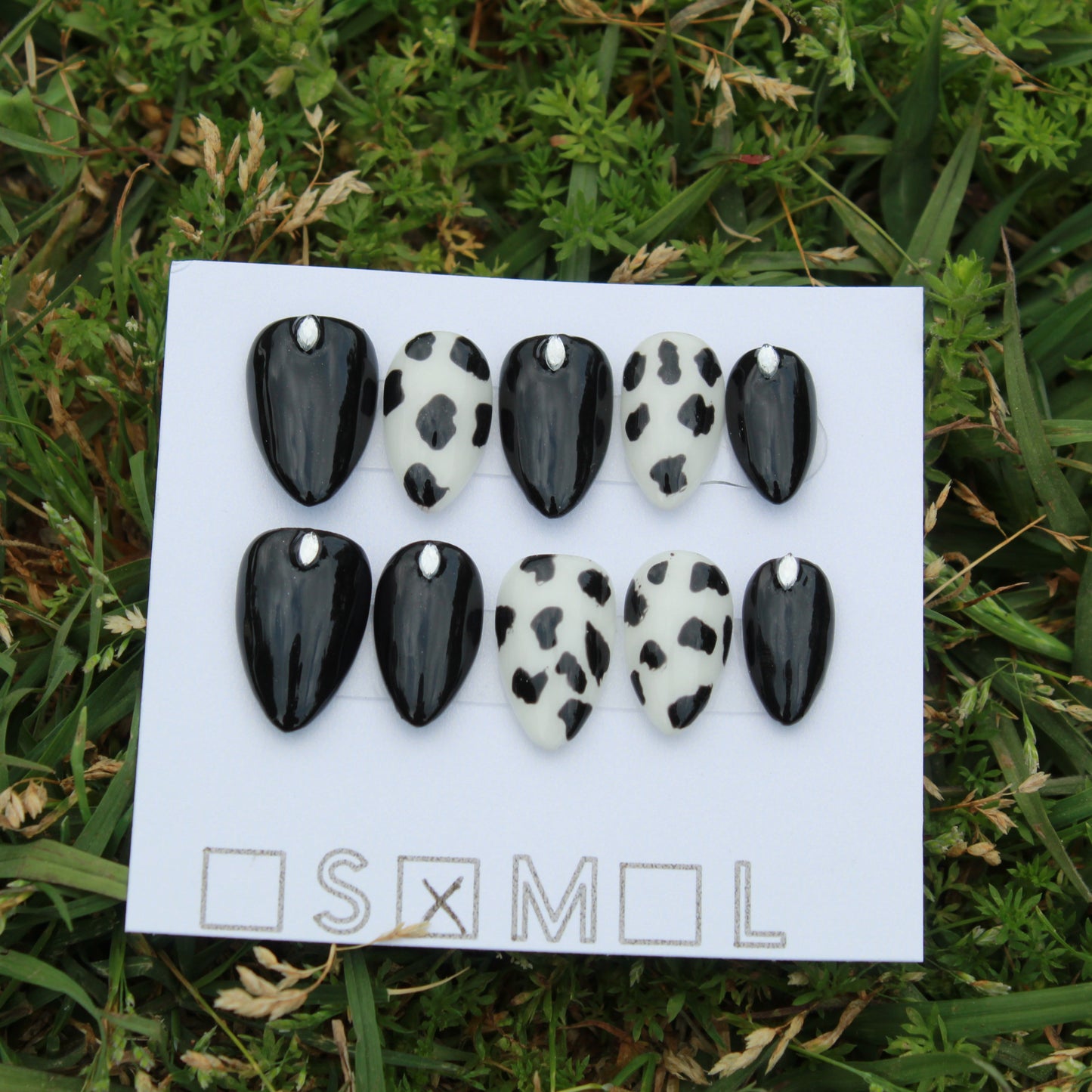 Bold and Beautiful Cow Chic- Short Almond