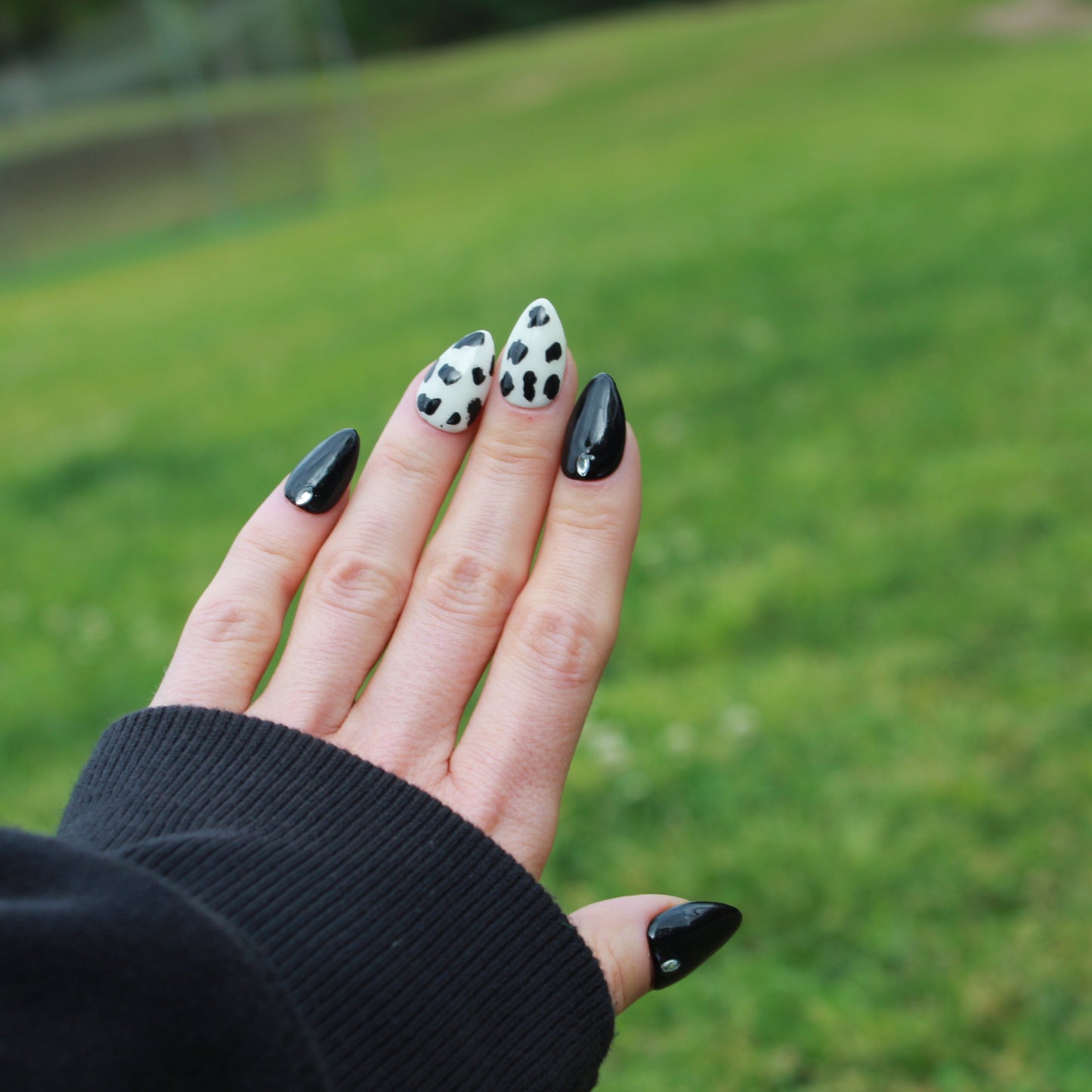Bold and Beautiful Cow Chic- Short Almond