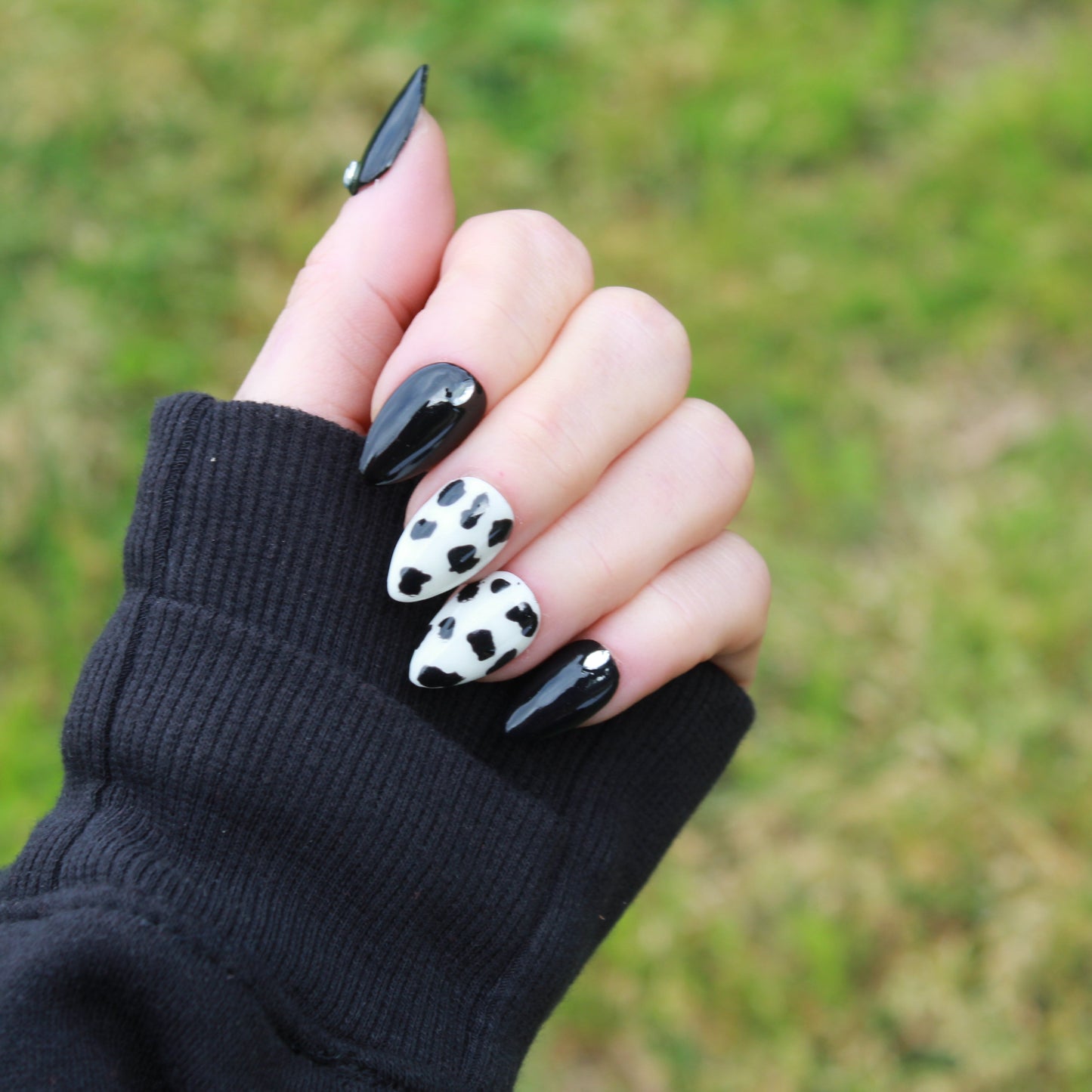 Bold and Beautiful Cow Chic- Short Almond